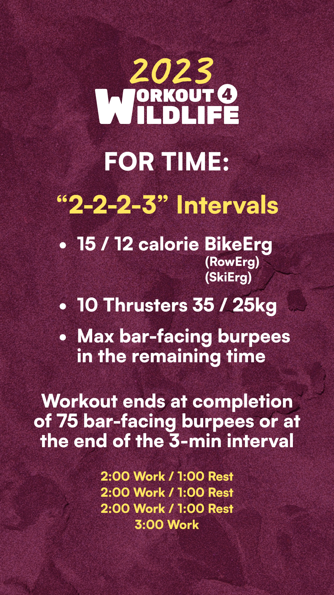 Workout Description
