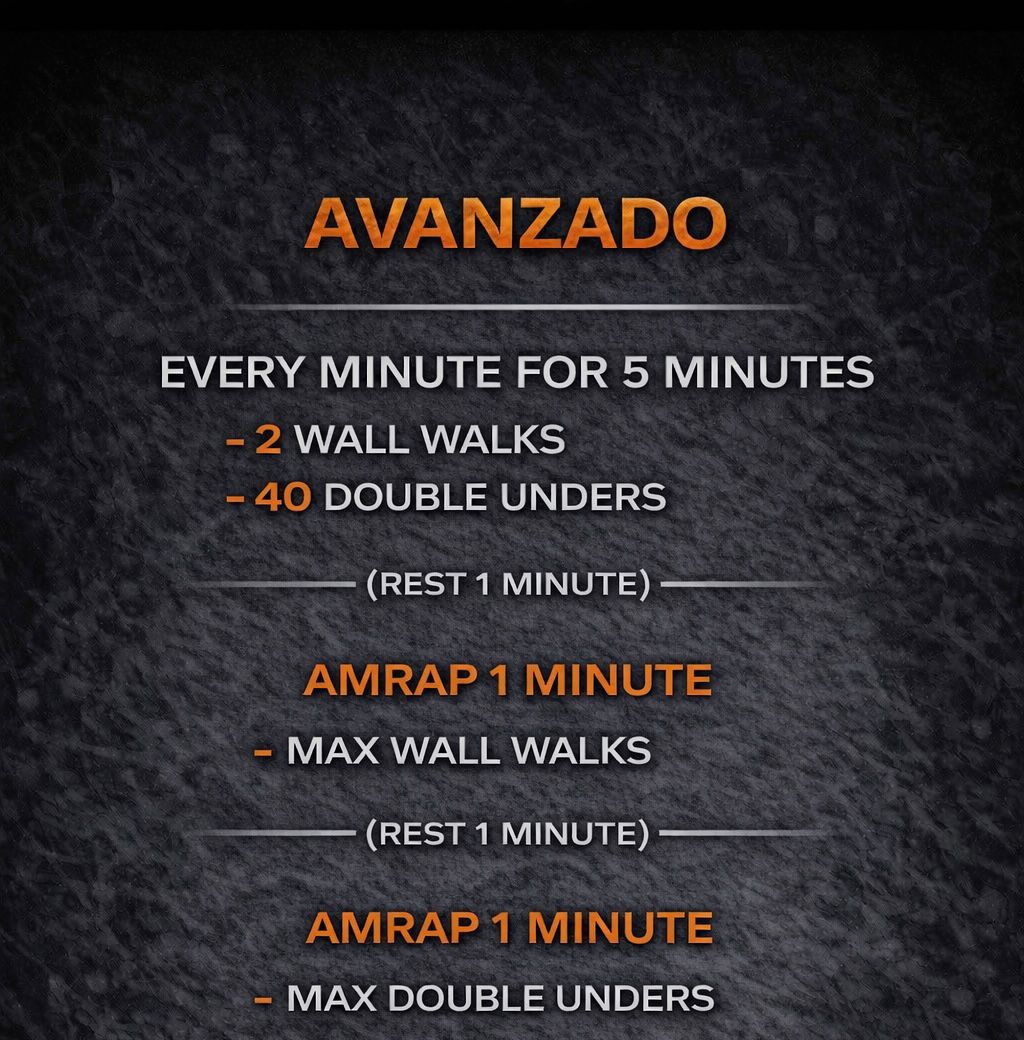 AVANZADO